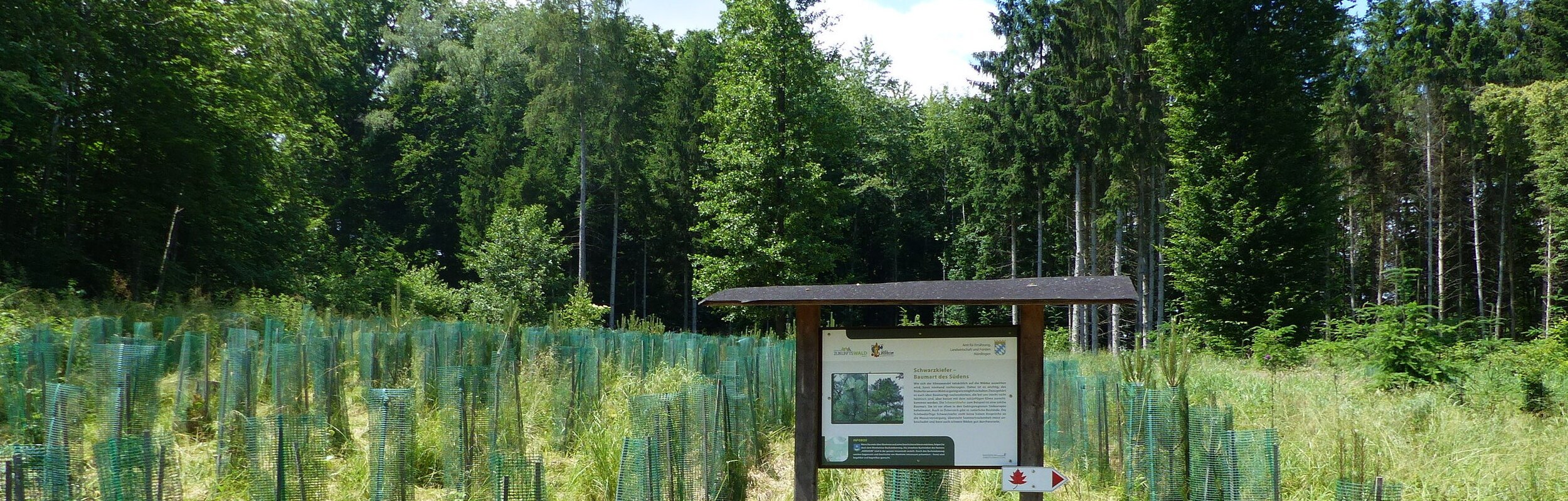 Wanderweg "Themenpfad Zukunftswald Monheim"