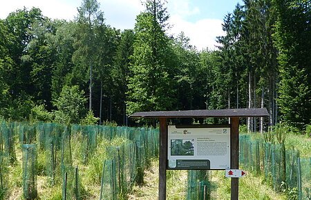 Wanderweg "Themenpfad Zukunftswald Monheim"