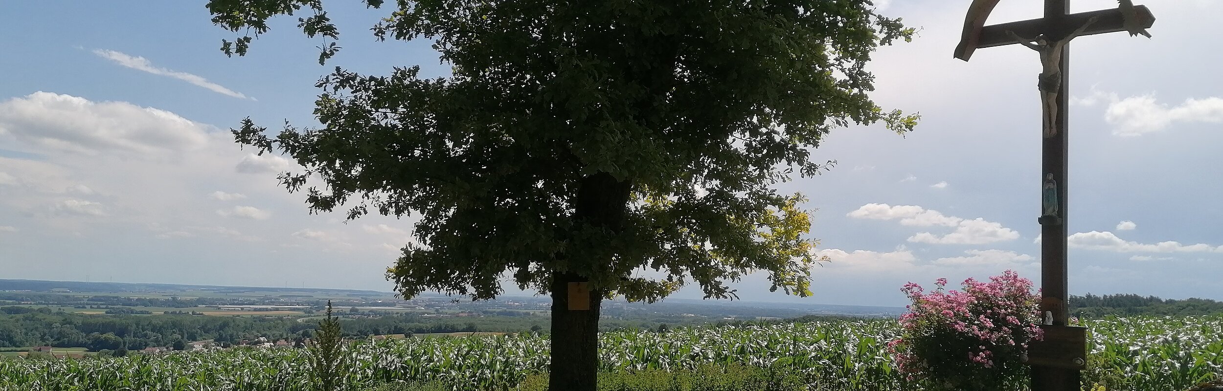 Herrliche Aussicht am Mädchenkreuz - am Südrand der Frankenalb bei Marxheim - Wanderweg Monheimer Alb Nr. 11