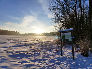 Themenpfad Zukunftswald Monheim - Winterwanderung Themenpfad Zukunftswald Monheim - Winterwanderung