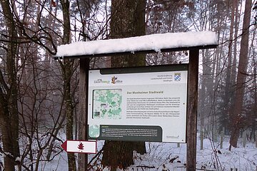 Der Monheimer Stadtwald im Winterkleid - folgen Sie dem Blatt der Elsbeere