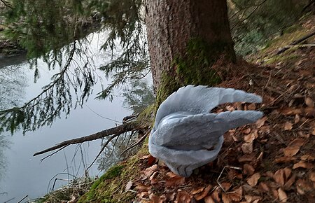 Schwalbtal mit Sagenhelm