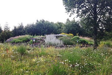 Blick auf die Kräuterspirale - Lehrbienenstand mit Bienenweide Monheim