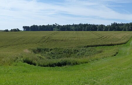 Blick auf eine im Feld liegende Doline.