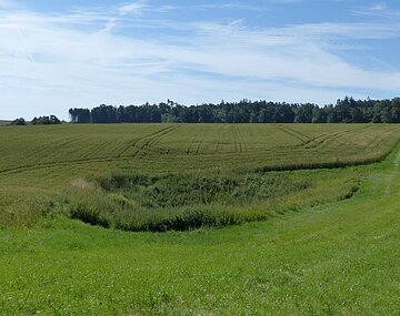 Doline im Feld Blick auf eine im Feld liegende Doline.
