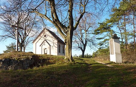 Blick auf die zwischen Bäumen liegende Kapelle am Kalvarienberg in Gosheim.