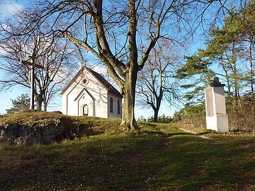 Blick auf die zwischen Bäumen liegende Kapelle am Kalvarienberg in Gosheim.