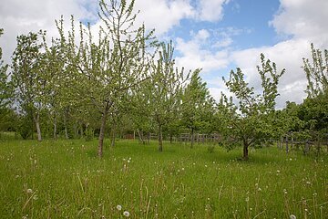 Waldpark am Heidebrünnl