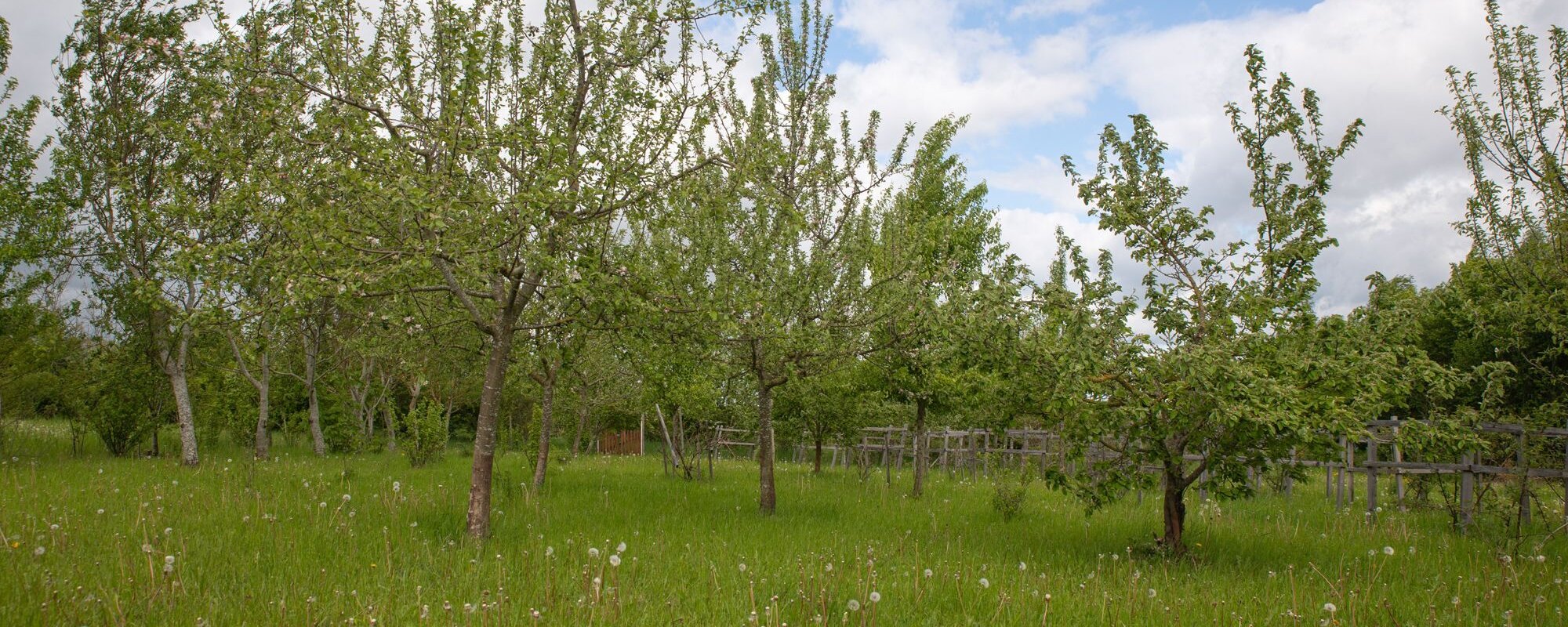 Waldpark am Heidebrünnl