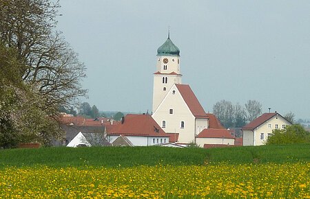 Blick auf die Pfarrkirche St. Dionysius. Davor eine gelb blühende Wiese mit Löwenzahn.