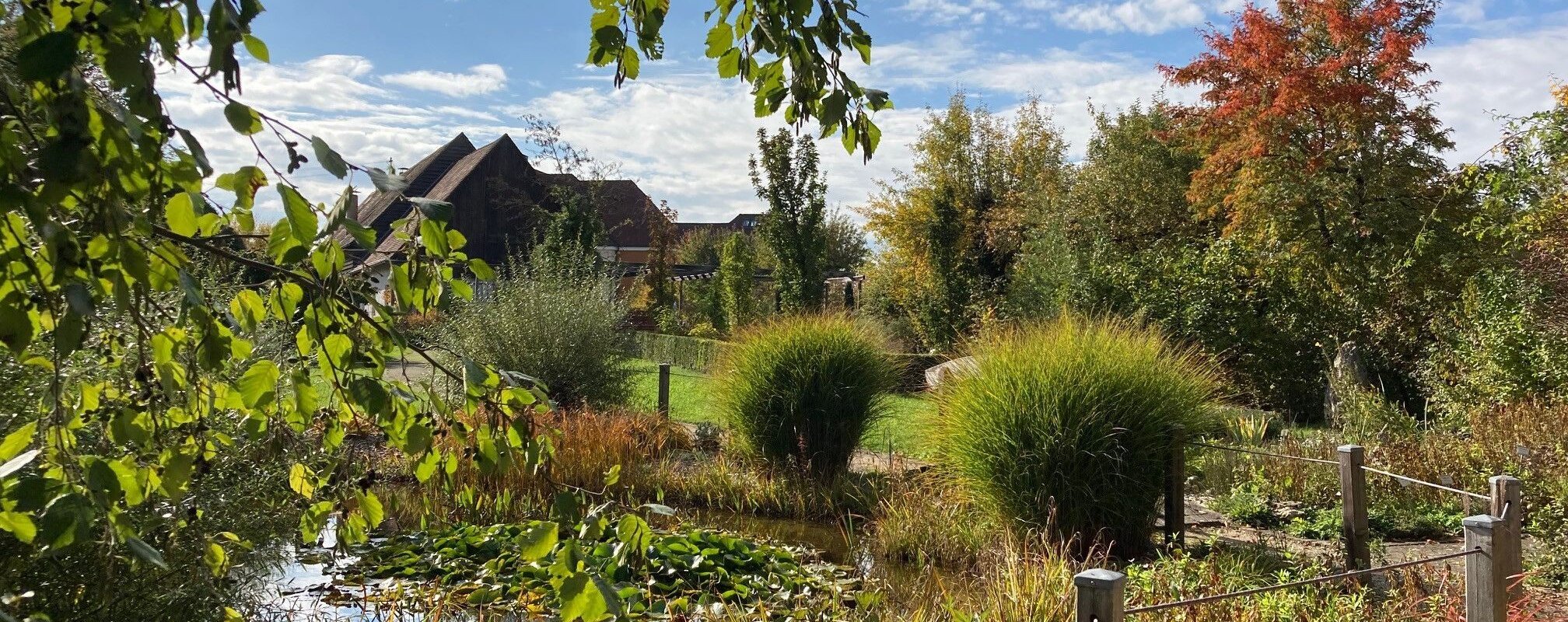 Blick auf den Kreislehrgarten im Herbst