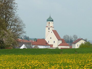 Pfarrkirche St. Dionysius in Fünfstetten Blick auf die Pfarrkirche St. Dionysius. Davor eine gelb blühende Wiese mit Löwenzahn.