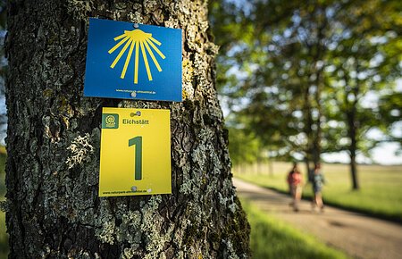 Zwei Wanderer sind am Frauenberg unterwegs. Rechts hängen an einem Baum zwei Wanderwegschilder, die den Weg weisen.