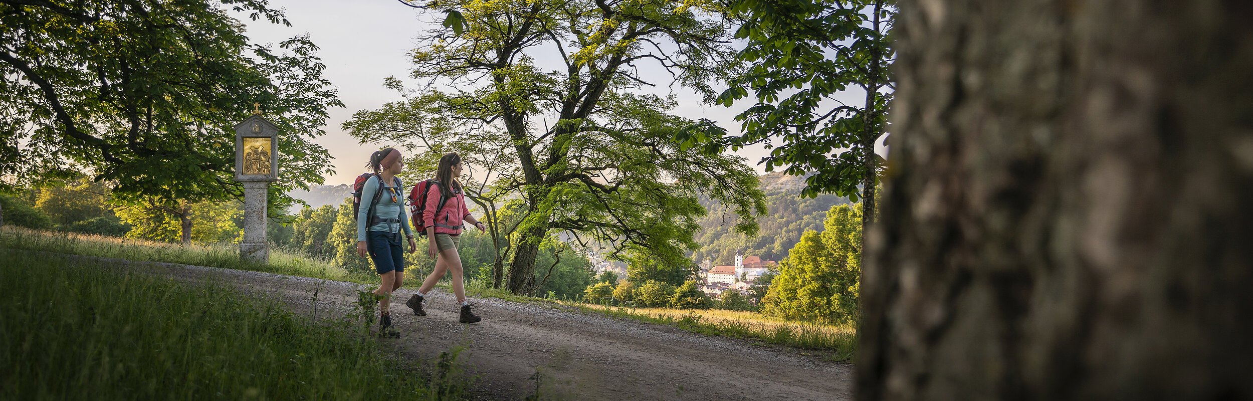 Ein Baumstamm ragt ins Bild. Zwei Frauen in hellblauem und rosafarbenen Shirt wandern auf dem Wanderweg. Beide tragen einen Rucksack. Umrahmt werden die Wanderer von grünen Bäumen, der blaue Himmel blitzt durch die Blätter hindurch.
