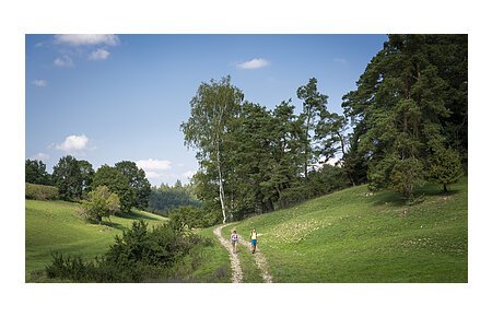 Wandern in der Monheimer Alb mit Blick aufs Röglinger Tal