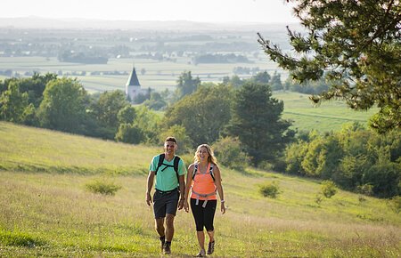 Wandern in der Monheimer Alb am Huisheimer Mähhorn