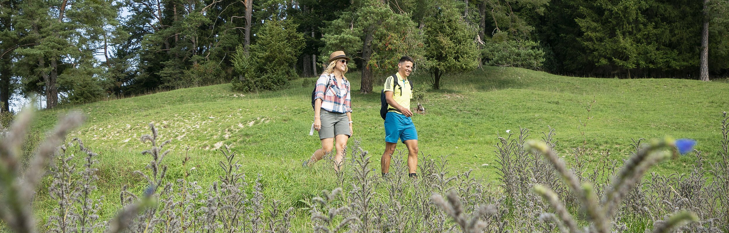 Wandern in der Monheimer Alb mit Blick aufs Röglinger Tal