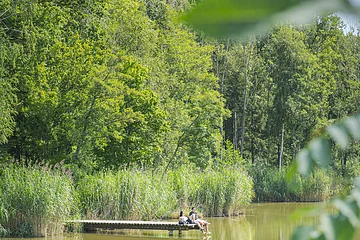 Waldsee