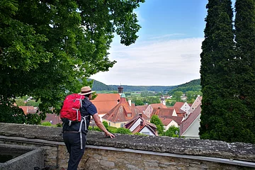 Ein Wanderer mit roten Rucksack steht an einer Mauer und lässt seinen Blick über Greding schweifen. Die Stadt ist von zwei Bäumen eingerahmt.