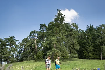Röglinger Tal