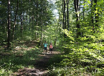 Shooting Monheim am 3.8.2019 Unterwegs in den Wäldern der Monheimer Alb