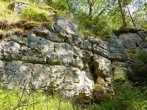 Eine würfelig geklüftete Felswand ist mit Gras und im oberen Bereich mit Bäumen bewachsen.