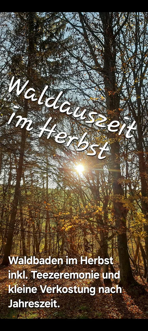 Herbstlicher Wald mit Sonnenstrahlen, Text: "Waldauszeit im Herbst", "Waldbaden im Herbst inkl. Teezeremonie und Verkostung".