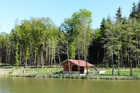 Fischereilehrhütte in Monheim mit rotem Dach am Ufer eines Weihers, umgeben von Bäumen und Wald im Hintergrund.