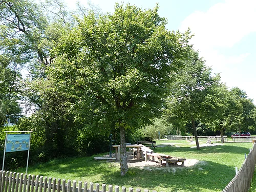 Wasserspielplatz mit Sand, Holztischen und Bänken, umgeben von Bäumen und einem Holzzaun. Informationstafel links.