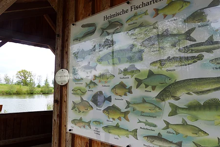 Tafel auf einer Holzfassade einer Hütte, mit Abbildungen und Namen heimischer Fischarten, im Hintergrund ein Teich und Bäume.
