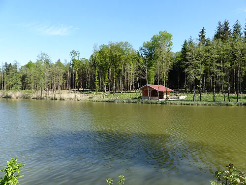 Ein Weiher in Monheim mit einer Holzhütte am Ufer, umgeben von einem Wald unter blauem Himmel.