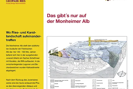 Eine Informationstafel darüber wo in der Monheimer Alb Ries und Karst landschaftlich aufeinandertreffen, mit Bildern und Texten zur Geologie und Fossilienfunden. Oben rechts im Eck das Logo der Stadt Monheim, oben links das Logo vom Geopark Ries.