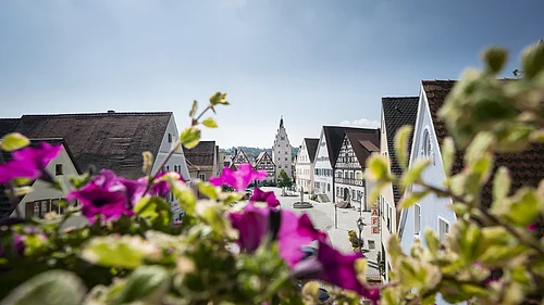 Blumen unscharf im Vordergrund, dahinter eine Straße einer Altstadt mit Fachwerkhäusern und einem zentralen Turm-Gebäude mit einer Uhr.