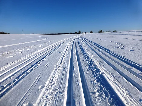 Spuren von Langlaufskiern im Schnee auf offenem Feld unter klarem blauem Himmel