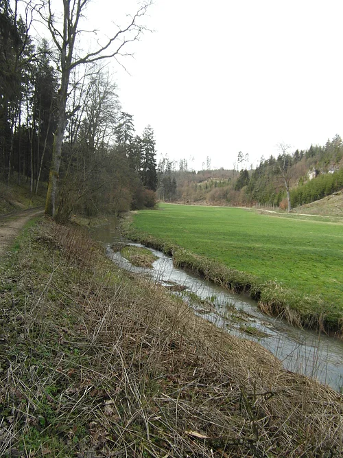 Gailach nach Regen Die Gailach fließt neben einem Weg durch eine Wiese, links Bäume und Sträucher, im Hintergrund Wald und Hügel.