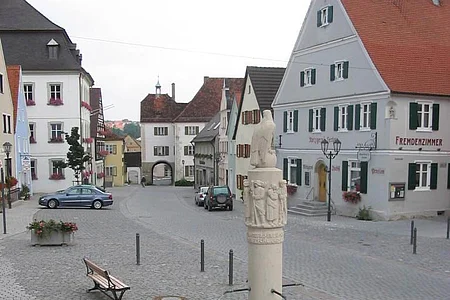 Im Vordergrund ein grauer achteckiger Brunnen aus Jura-Stein mit einer Säule und einer darauf Sitzenden Skulptur des Adlers. Brunnen ist mit Wasser befüllt auf einem gepflastertem Platz mit Häusern und parkenden Autos am Straßenrand. Blumen links unten im Bild im Vordergrund.