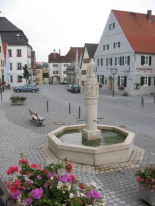 Im Vordergrund ein grauer achteckiger Brunnen aus Jura-Stein mit einer Säule und einer darauf Sitzenden Skulptur des Adlers. Brunnen ist mit Wasser befüllt auf einem gepflastertem Platz mit Häusern und parkenden Autos am Straßenrand. Blumen links unten im Bild im Vordergrund.