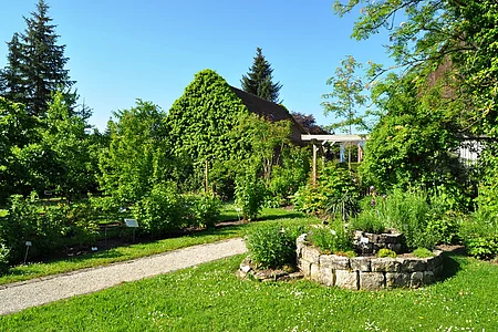 Ein Kreislehrgarten mit verschiedenen Pflanzen und Bäumen, einem Steinbeet rechts im Vordergrund, grünem Rasen und einem mit Efeu bewachsenen Haus im Hintergrund, unter blauem Himmel. Ein Schotterweg führt durch den Garten.