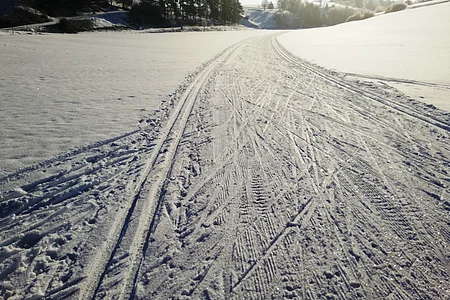 Schneebedeckte Wiese mit Spuren von Skiern und Fahrzeugen für den Langlauf, Bäume im Hintergrund bei Sonnenlicht.