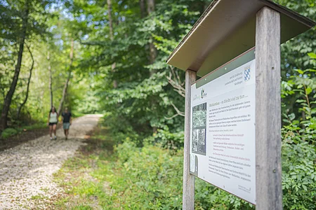 Zwei Personen, die im Sommer auf dem geschotterten Waldweg entlang gehen links im Bild, rechts im Bild eine Infotafel zum Waldumbau.