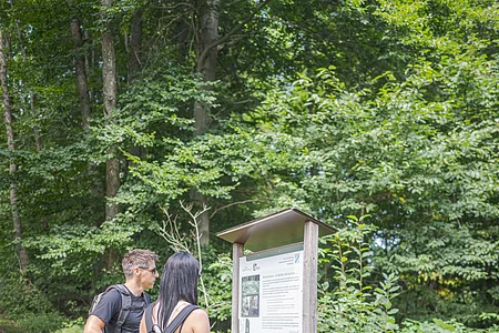 Zwei Personen mit Rucksäcken lesen eine Informationstafel am Waldrand auf einem Wanderweg.