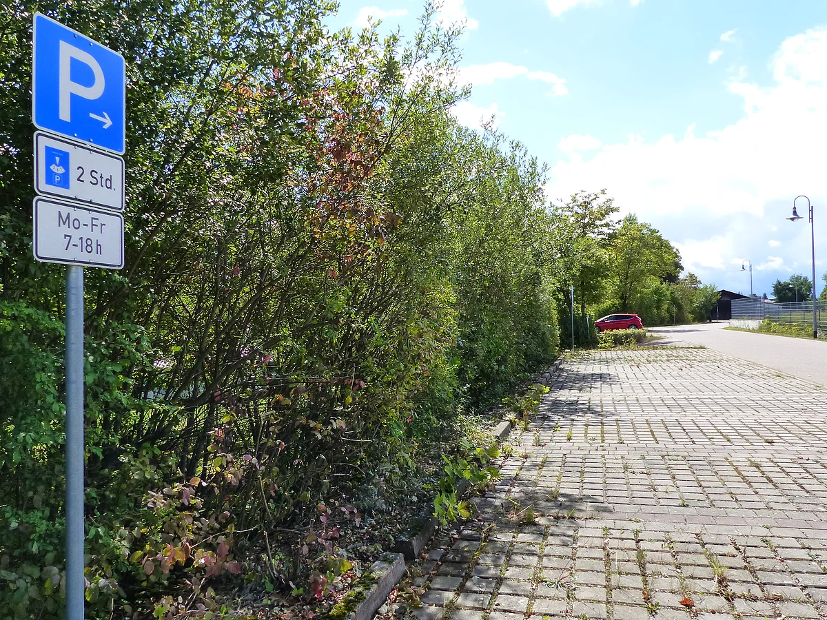 Parkplatz mit Parkscheibenpflicht von Montag bis Freitag, 7 bis 18 Uhr, auf gepflastertem Boden neben Büschen und Bäumen. Im Hintergrund ein rotes Auto zu sehen.