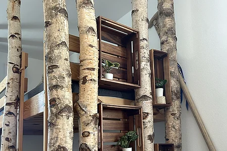 Etagenbett mit Birkenstämmen und hölzernen Wandregalen mit kleinen Pflanzen in weißen Töpfen.