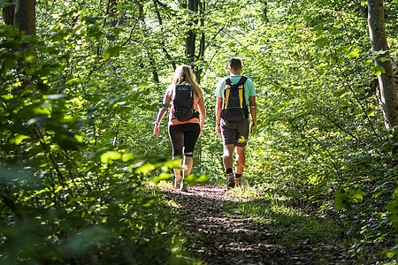Zwei Personen mit Rucksäcken wandern auf einem Waldweg umgeben von grünen Bäumen im Sonnenlicht.
