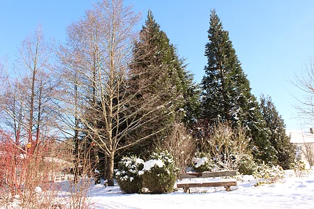 Winterliche Parklandschaft mit schneebedeckter Bank und Nadel- sowie Laubbäumen unter blauem Himmel