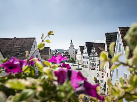 Blick durch Blumen auf eine gepflasterte Straße mit Fachwerkhäusern und einem Turm im Hintergrund bei klarem Himmel.