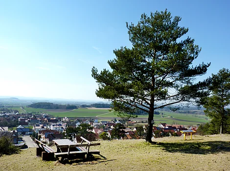 Picknickplatz mit Holztisch und Bänken unter Baum auf Hügel mit Blick auf Dorf und Felder bei klarem Himmel