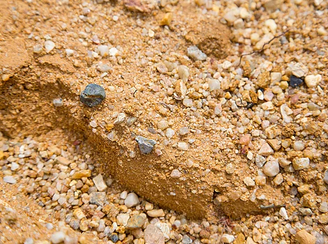 Nahaufnahme von sandigem Boden mit kleinen Kieselsteinen und zwei größeren dunklen Steinen darauf.