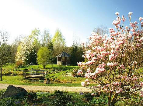 Herzlich Willkommen im Waldpark Huisheim Park mit blühendem Magnolienbaum, kleiner Holzbrücke über Bach und Pavillon im Hintergrund bei Sonnenschein