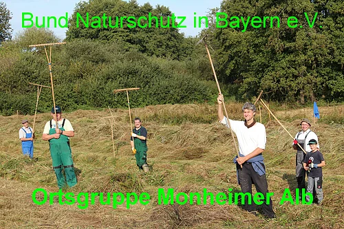Sechs Personen in Arbeitshosen stehen bei Tageslicht auf einer Wiese vor Bäumen mit hochgehobenen Rechen in den Händen. Auf dem Foto der Text „Bund Naturschutz in Bayern e.V. - Ortsgruppe Monheimer Alb“ in grün.